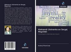 Buchcover von Aleksandr Litvinenko en Sergej Magnitski