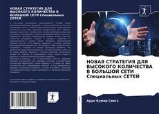 Bookcover of НОВАЯ СТРАТЕГИЯ ДЛЯ ВЫСОКОГО КОЛИЧЕСТВА В БОЛЬШОЙ СЕТИ Специальных СЕТЕЙ