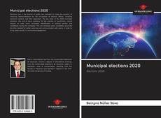 Capa do livro de Municipal elections 2020 