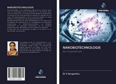 NANOBIOTECHNOLOGIE的封面