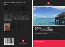 Futuro das Maldivas - Aquecimento global kitap kapağı