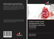 Bookcover of Lesione renale acuta perioperatoria: Cosa dovrebbero sapere gli anestesisti