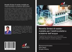 Capa do livro de Novella Sintesi di ossido-metallo per l'elettrocatalisi a scissione dell'acqua 