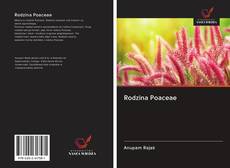 Bookcover of Rodzina Poaceae