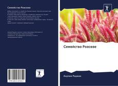 Семейство Poaceae kitap kapağı