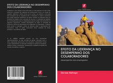 EFEITO DA LIDERANÇA NO DESEMPENHO DOS COLABORADORES kitap kapağı