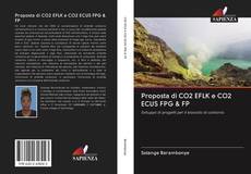 Обложка Proposta di CO2 EFLK e CO2 ECUS FPG & FP