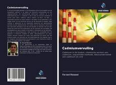 Bookcover of Cadmiumvervuiling