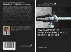 UNA SINOPSIS DE LOS DERECHOS HUMANOS BAJO EL RÉGIMEN DE KUFUOR kitap kapağı