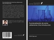 Buchcover von Funcionalización de varios calixarenos: Una introducción