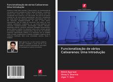 Bookcover of Funcionalização de vários Calixarenos: Uma Introdução