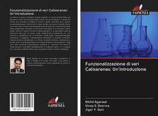 Bookcover of Funzionalizzazione di vari Calixarenes: Un'introduzione