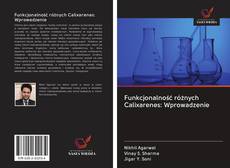 Bookcover of Funkcjonalność różnych Calixarenes: Wprowadzenie