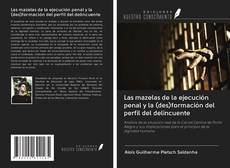 Bookcover of Las mazelas de la ejecución penal y la (des)formación del perfil del delincuente