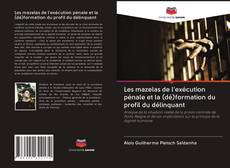 Capa do livro de Les mazelas de l'exécution pénale et la (dé)formation du profil du délinquant 