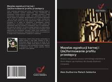 Copertina di Mazelas egzekucji karnej i (de)formowanie profilu przestępcy