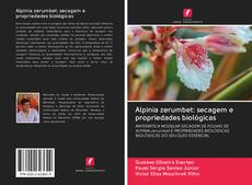 Copertina di Alpinia zerumbet: secagem e propriedades biológicas