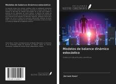 Buchcover von Modelos de balance dinámico estocástico