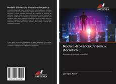 Bookcover of Modelli di bilancio dinamico stocastico
