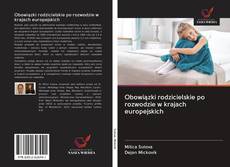 Buchcover von Obowiązki rodzicielskie po rozwodzie w krajach europejskich