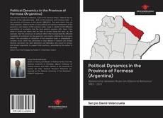 Political Dynamics in the Province of Formosa (Argentina) kitap kapağı