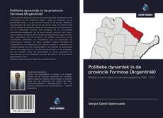 Bookcover of Politieke dynamiek in de provincie Formosa (Argentinië)