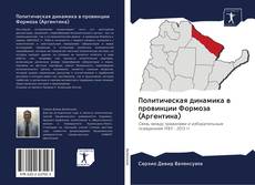Политическая динамика в провинции Формоза (Аргентина) kitap kapağı