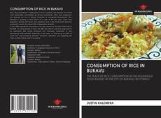CONSUMPTION OF RICE IN BUKAVU kitap kapağı