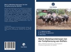 Portada del libro de Matrix-Metalloproteinasen bei der Fortpflanzung von Büffeln
