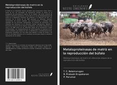Обложка Metaloproteinasas de matriz en la reproducción del búfalo