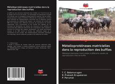 Buchcover von Métalloprotéinases matricielles dans la reproduction des buffles
