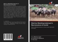 Capa do livro de Matrice Metalloproteinasi in Riproduzione di bufali 