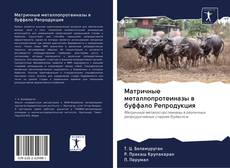 Buchcover von Матричные металлопротеиназы в буффало Репродукция