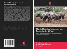 Bookcover of Matrix Metalloproteinases em Reprodução Búfalo