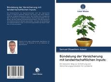 Capa do livro de Bündelung der Versicherung mit landwirtschaftlichen Inputs: 