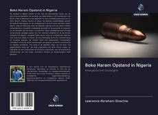 Bookcover of Boko Haram Opstand in Nigeria