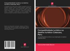 Bookcover of Competitividade turística no destino turístico Catacaos, Peru