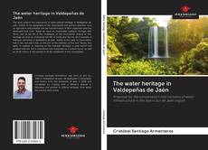 Capa do livro de The water heritage in Valdepeñas de Jaén 