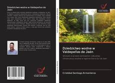 Dziedzictwo wodne w Valdepeñas de Jaén kitap kapağı