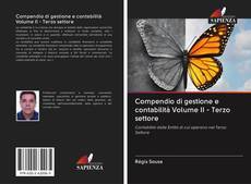 Compendio di gestione e contabilità Volume II - Terzo settore kitap kapağı