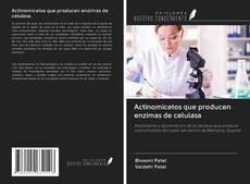 Bookcover of Actinomicetos que producen enzimas de celulasa