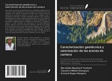 Capa do livro de Caracterización geotécnica y valorización de las arenas de cantera 