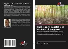 Обложка Analisi costi-benefici del restauro di Mangrove
