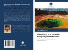 Bookcover of Herstellung und teilweise Reinigung von Proteasen