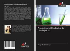 Buchcover von Produzione di bioplastica da rifiuti agricoli