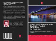 ENCURVADURA COMPRESSIVA BIAXIAL DE PLACAS LAMINADAS (VOLUME SEIS) kitap kapağı