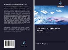 Bookcover of E-Business in opkomende markten