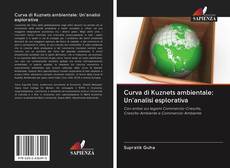 Portada del libro de Curva di Kuznets ambientale: Un'analisi esplorativa