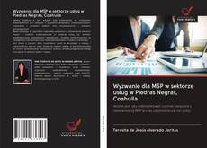 Capa do livro de Wyzwanie dla MŚP w sektorze usług w Piedras Negras, Coahuila 