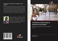 Capa do livro de Collettore distrettuale e gestione dei disastri 